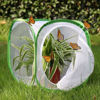 Picture of RESTCLOUD Insect and Butterfly Habitat Cage Terrarium Pop-up 12 X 12 X 12 Inches