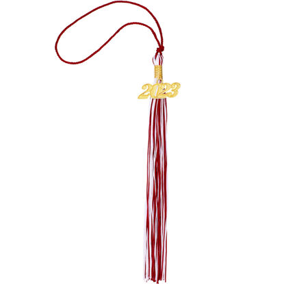 Picture of Graduation Tassel Academic Graduation Tassel with 2023 Year Charm Ceremonies Accessories for Graduates (Marron and White)