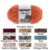 Picture of Bernat 16111010006 Blanket Yarn, 10.5 Ounce, Vintage White
