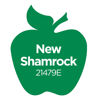 Picture of Apple Barrel Acrylic Paint in Assorted Colors (2 oz), 21479, New Shamrock