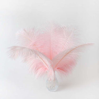 Picture of 24pcs Natural Light Pink Ostrich Feathers 10-12inch (25-30cm) for Wedding Party Centerpieces，Flower Arrangement and Home Decoration.