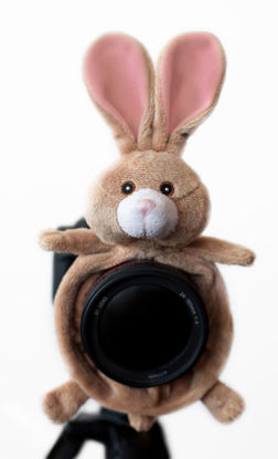 Picture of Shutter Huggers BUN001 Camera Lens Stand (Brown)