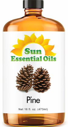 Picture of Sun Essential Oils 16oz - Pine Essential Oil - 16 Fluid Ounces