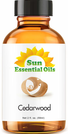 Picture of Sun Essential Oils 2oz - Cedarwood Essential Oil - 2 Fluid Ounces