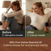 Picture of Gya Labs Calming Vetiver Essential Oil for Diffuser & Aromatherapy - 100% Pure Therapeutic Grade Vetiver Oil for Concentration & Pain - Vetiver Essential Oil Organic for Soaps & Candles (0.34 fl oz)