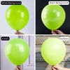 Picture of PartyWoo Green Balloons, 50 pcs 12 Inch Lime Green Balloons, Lime Balloons for Balloon Garland or Balloon Arch as Party Decorations, Birthday Decorations, Wedding Decorations, Baby Shower Decorations