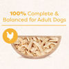 Picture of CESAR WHOLESOME BOWLS Adult Soft Wet Dog Food Toppers Chicken Recipe, (10) 3 oz. Bowls