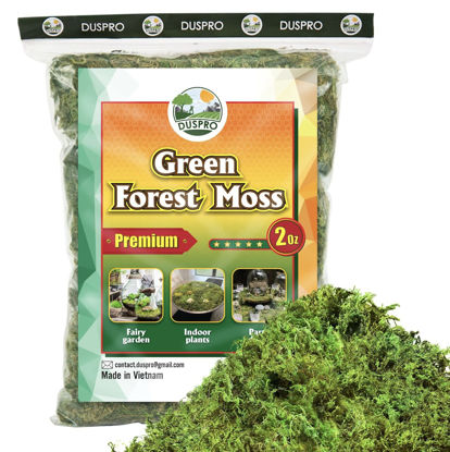 Picture of DUSPRO Green Moss for Crafts Decorative Moss Filler for planters Moss Decor Artificial for Table Centerpieces Wedding Christmas Fairy Party Decor, Faux Moss for Indoor Planters, DIY Project, 2 oz