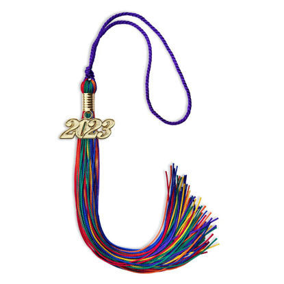 Picture of Endea Graduation Mixed Double Color Tassel with Gold Date Drop (Rainbow, 2023)
