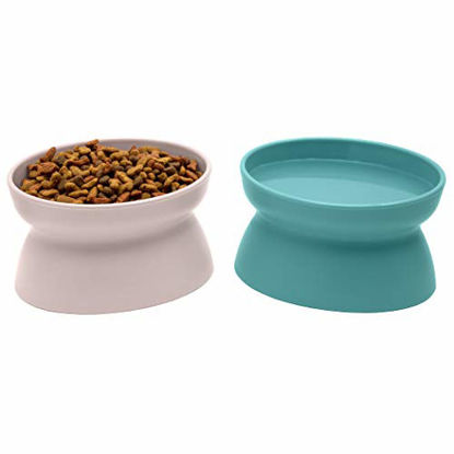 Picture of Kitty City Raised Cat Food Bowl Collection_Stress Free Pet Feeder and Waterer