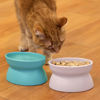 Picture of Kitty City Raised Cat Food Bowl Collection_Stress Free Pet Feeder and Waterer