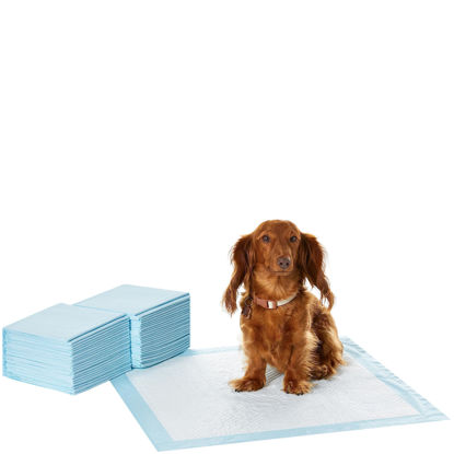 Picture of Amazon Basics Leak-Proof, 5-Layer, Scented Dog Pee Pads for Potty Training, 22x22 inches-Pack of 50
