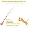 Picture of MeoHui Cat Toys for Indoor Cats, Interactive Cat Toy 2PCS Retractable Cat Wand Toy and 9PCS Cat Feather Toys Refills, Funny Kitten Toys Cat Fishing Pole Toy for Bored Indoor Cats Chase and Exercise