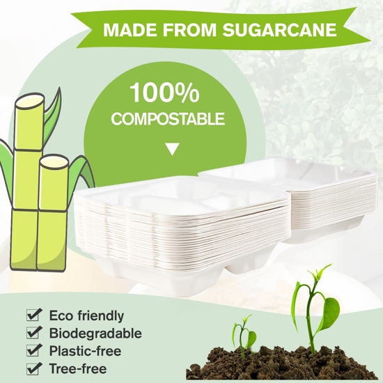 GetUSCart- ECOLipak 50 Pack Clamshell Take Out Food Containers, 100% ...