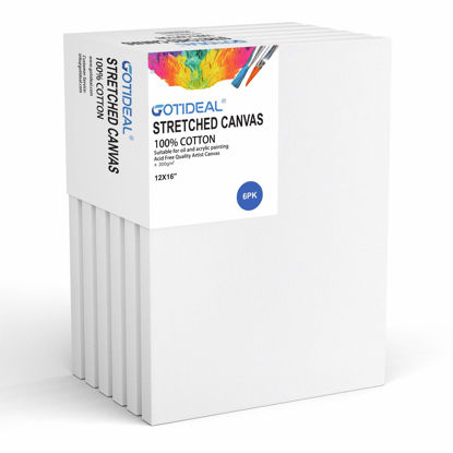 Picture of GOTIDEAL Stretched Canvas, 12x16" Inch Set of 6, Primed White - 100% Cotton Artist Canvas Boards for Painting, Acrylic Pouring, Oil Paint Dry & Wet Art Media