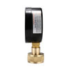 Picture of MEASUREMAN 2-1/2" Water Pressure Test Gauge, 3/4" Female Hose Thread, 0-200 psi/kpa (2 Pack)