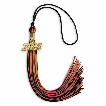 Picture of Endea Graduation Mixed Double Color Tassel with Gold Date Drop (Black/Orange, 2022)