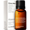 Picture of Gya Labs Clove Oil for Oral Care - 100% Natural Clove Essential Oil for Oral Discomfort - Clove Oil Essential Oil - Clove Oil for Hair, Skin, Teeth, and Gums. (0.34 fl oz)