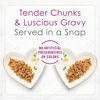 Picture of Purina Fancy Feast Gourmet Gravy Wet Cat Food, Petites Tender Beef With Carrots Entree - (12) 2.8 oz. Tubs