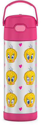 Picture of THERMOS FUNTAINER 16 Ounce Stainless Steel Vacuum Insulated Bottle with Wide Spout Lid, Looney Tunes