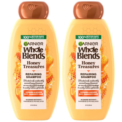 Picture of Garnier Whole Blends Honey Treasures Repairing Shampoo, for Dry, Damaged Hair, 22 Fl Oz, 2 Count (Packaging May Vary)