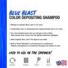 Picture of No Fade Fresh Hair Color Depositing Shampoo with BondHeal Bond Rebuilder - Maintain & Refresh Color, Temporary Hair Color Dye - Sulfate, Paraben, and Ammonia Free (Blue)