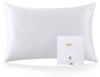 Picture of ZIMASILK 100% Mulberry Silk Pillowcase for Hair and Skin Health,Soft and Smooth,Both Sides Premium Grade 6A Silk,600 Thread Count,with Hidden Zipper,1pc(Toddler 13''x18'',Ivory)