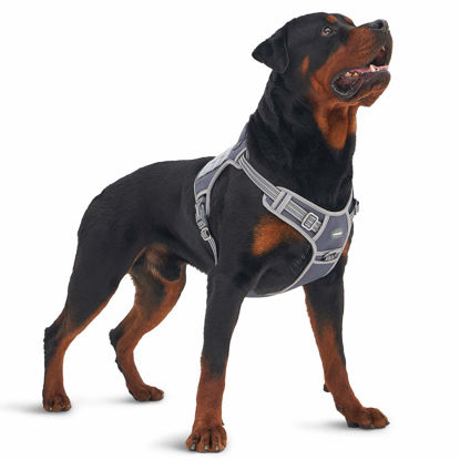 Picture of Auroth Tactical Dog Harness for Large Dogs No Pull Adjustable Pet Harness Reflective K9 Working Training Easy Control Pet Vest Military Service Dog Harnesses Grey XL