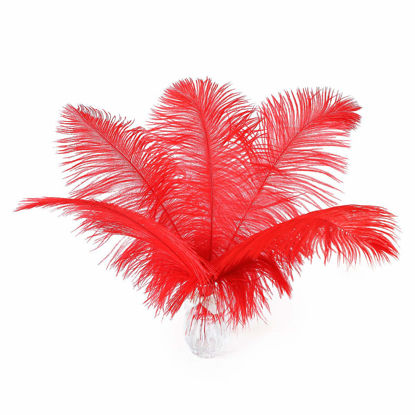 Picture of 24pcs Natural Bright Red Ostrich Feathers 10-12inch (25-30cm) for Wedding Party Centerpieces，Flower Arrangement and Home Decoration.