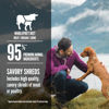 Picture of ORIJEN Real Meat Shreds, Grain-free, Beef Recipe Stew, Premium Wet Dog Food (Case of 12)