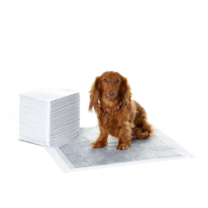 Picture of Amazon Basics Odor-Control Carbon Dog and Puppy Training Pads, Leakproof 5-Layer Pee Pads for Potty Training, Regular Size, 22 x 22 Inches - Pack of 40