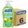 Picture of Softsoap Antibacterial Liquid Hand Soap, Gentle Clean, Sparkling Pear Scent Hand Soap, 11.25 Ounce, 6 Pack