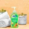 Picture of Softsoap Antibacterial Liquid Hand Soap, Gentle Clean, Sparkling Pear Scent Hand Soap, 11.25 Ounce, 6 Pack