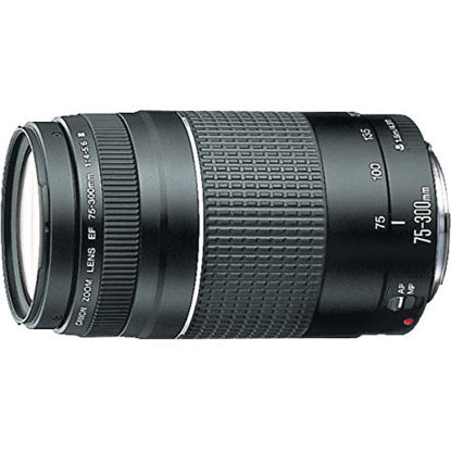 Picture of Canon EF 75-300mm f/4-5.6 III Telephoto Zoom Lens for Canon SLR Cameras