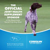 Picture of Nutramax Cosequin Joint Health Supplement for Dogs - With Glucosamine, Chondroitin, MSM, and Omega-3's, 120 Soft Chews