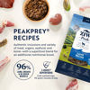 Picture of ZIWI Peak Air-Dried Dog Food - All Natural, High Protein, Grain Free and Limited Ingredient with Superfoods (Lamb, 8.8 lb)
