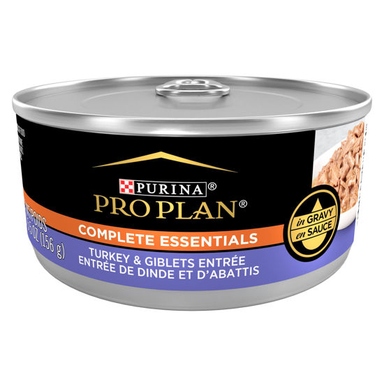 High protein wet cat food top