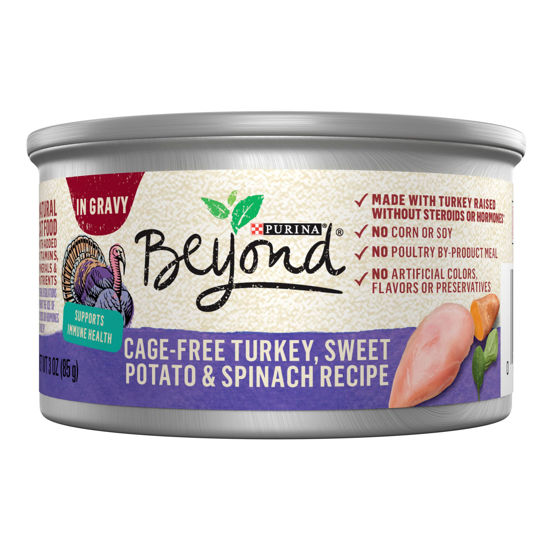 GetUSCart Purina Beyond CageFree Turkey, Sweet Potato and Spinach