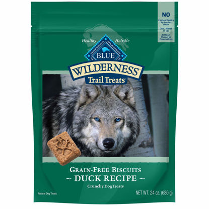Picture of Blue Buffalo Wilderness Trail Treats High Protein Grain Free Crunchy Dog Treats Biscuits, Duck Recipe 24-oz Bag