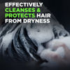 Picture of DOVE MEN + CARE Fortifying 2 in 1 Shampoo and Conditioner for Normal to Oily Hair Fresh and Clean with Caffeine Helps Strengthen Thinning Hair 3 oz