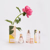 Picture of Good Chemistry Queen Bee Body Mist