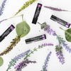 Picture of Moroccan Magic Organic Lavender Vanilla Lip Balm 3 Pack | Made with Natural Cold Pressed Argan and Essential Oils Lip Balm | Smooth Application | Non-Toxic, Cruelty Free