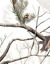 Picture of LensCoat Lens Cover for Canon 800 5.6 Camouflage Neoprene Camera Lens Protection (Realtree AP Snow)
