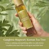 Picture of [I'm From] Miniatures of Rice Toner, Mugwort Essence, Fig Boosting Essence (Mugwort)