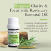 Picture of Pranarom - Rosemary Cineole Essential Oil (5ml) - 100% Pure Natural Therapeutic Grade Essential Oil for Diffusing and Hair Health | USDA and ECOCERT Certified Organic