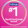 Picture of Softsoap Coconut & Hibiscus Scent Hydrating Liquid Hand Soap, Liquid Hand Soap, 11.25 Ounce, 6 Pack