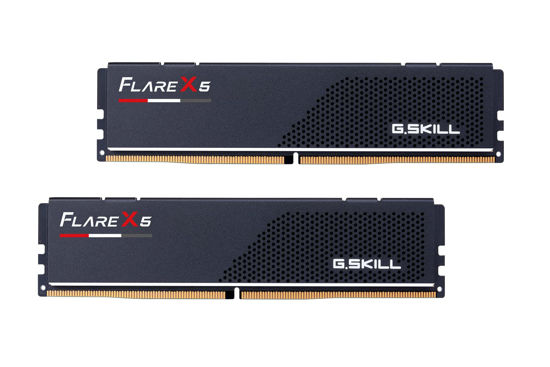 GetUSCart- G.SKILL Flare X5 Series (AMD Expo) DDR5 RAM 64GB