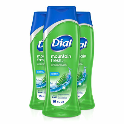 Picture of Dial Body Wash, Mountain Fresh with All Day Freshness, 16 Fluid Ounces (Pack of 3)
