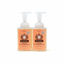 Picture of Moon Valley Herbal Foaming Hand Soap, Grapefruit Thyme 2 Pack, Vegan, Recyclable Bottle