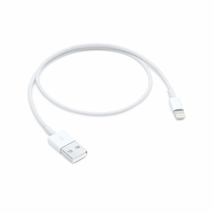 Picture of Apple Lightning to USB Cable (0.5 m)
